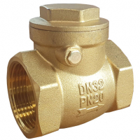 Check Valves